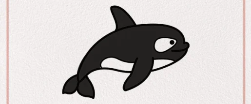 How-To-Draw-an-Orca-Steps-9